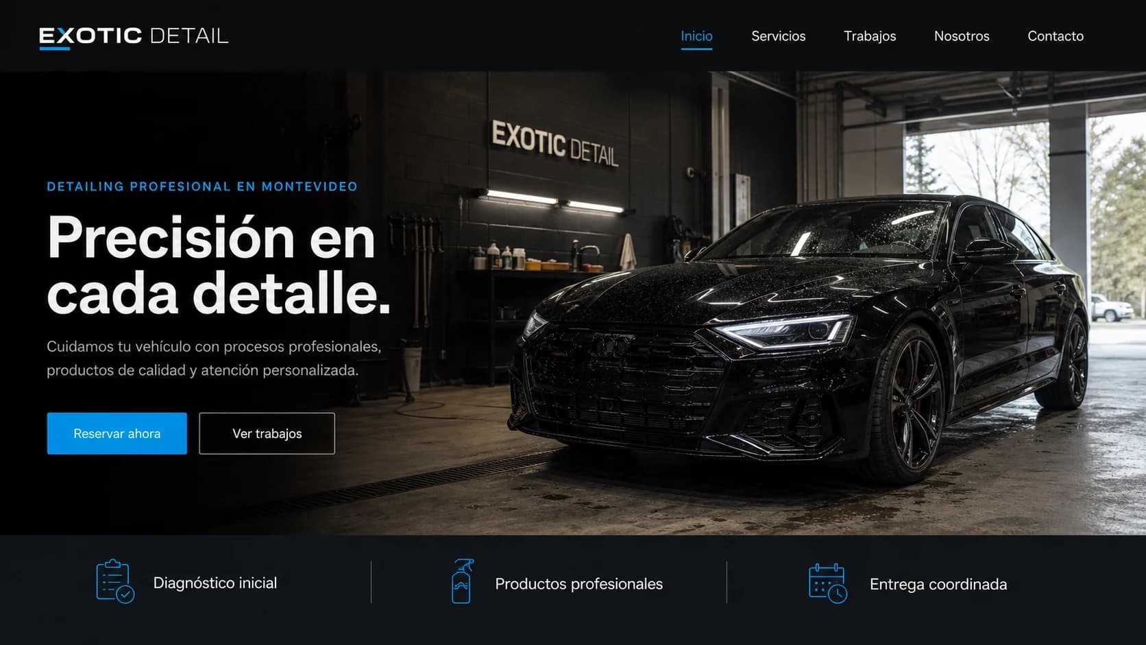 Vista del proyecto Exotic Car Detailing